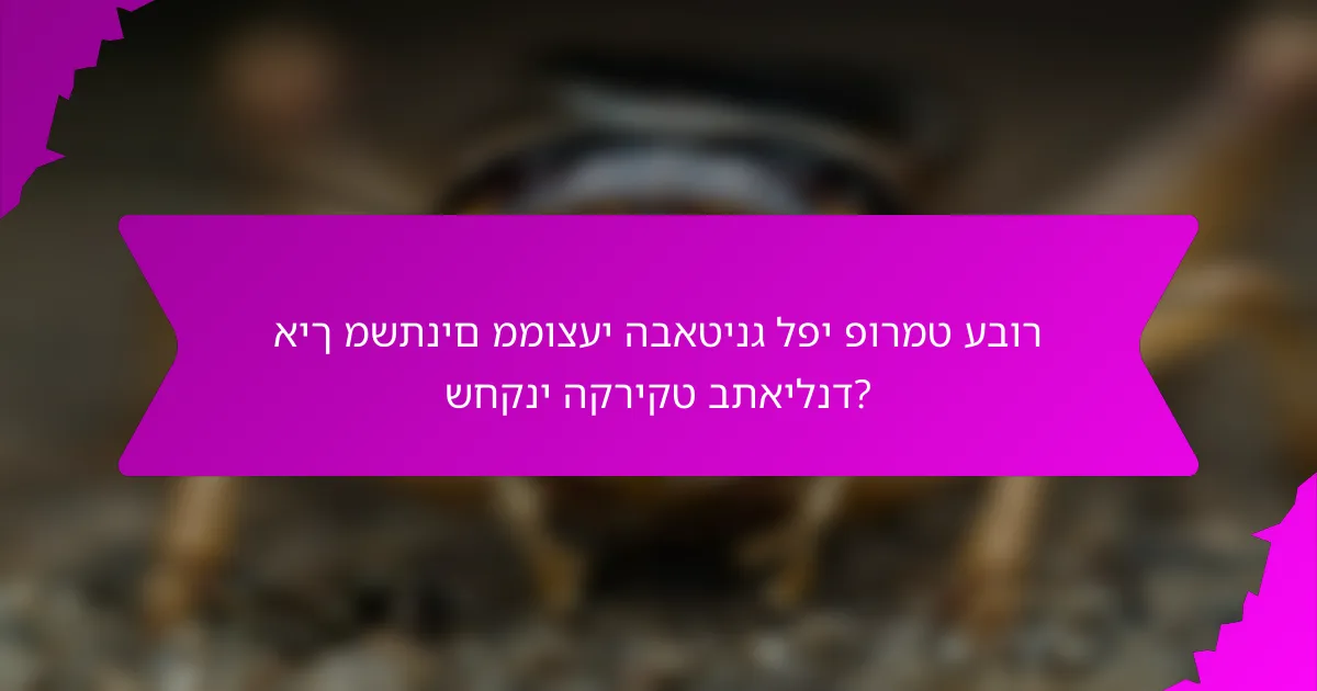 איך משתנים ממוצעי הבאטינג לפי פורמט עבור שחקני הקריקט בתאילנד?