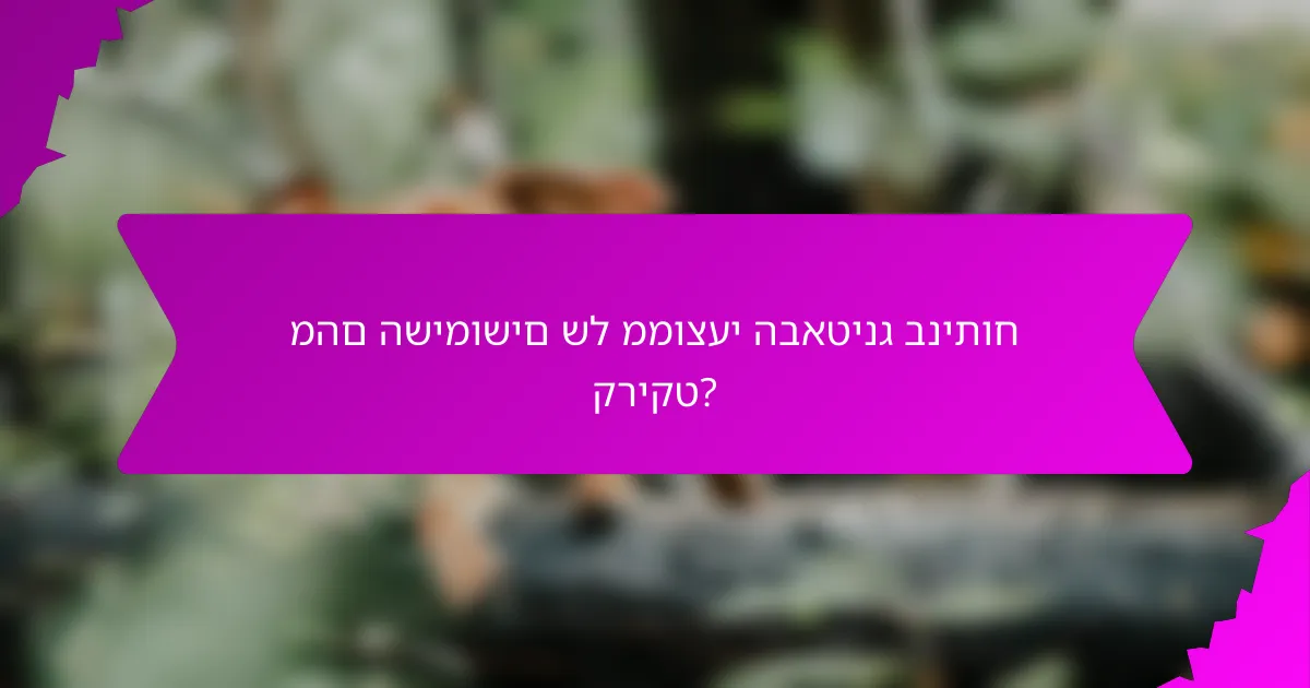 מהם השימושים של ממוצעי הבאטינג בניתוח קריקט?