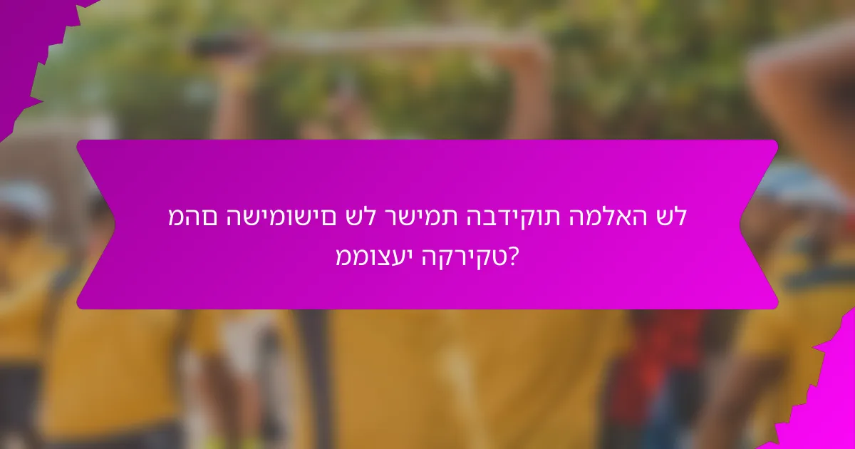 מהם השימושים של רשימת הבדיקות המלאה של ממוצעי הקריקט?